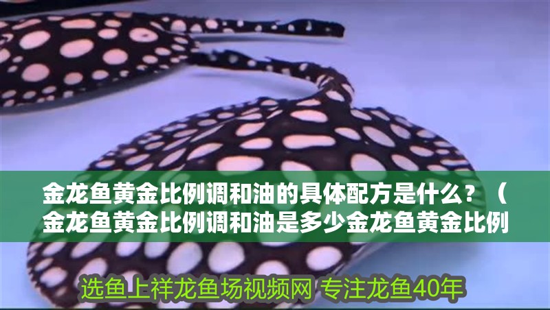 金龍魚黃金比例調(diào)和油的具體配方是什么？（金龍魚黃金比例調(diào)和油是多少金龍魚黃金比例調(diào)和油的“1:1”） 金龍魚黃金比例調(diào)和油的具體配方是什么？（金龍魚黃金比例調(diào)和油是多少金龍魚黃金比例調(diào)和油的“1:1”） 龍魚百科