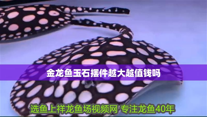 金龍魚玉石擺件越大越值錢嗎