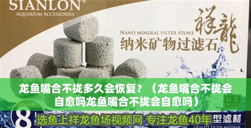 龍魚嘴合不攏多久會恢復？（龍魚嘴合不攏會自愈嗎龍魚嘴合不攏會自愈嗎）