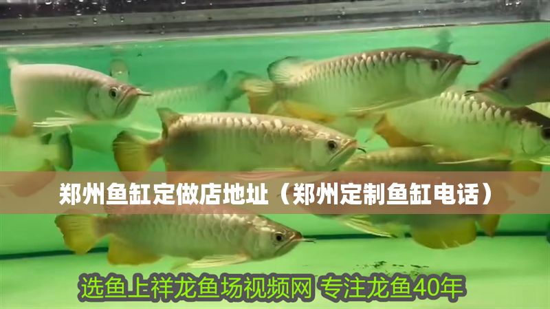 鄭州魚缸定做店地址（鄭州定制魚缸電話） 鄭州魚缸定做店地址（鄭州定制魚缸電話） 全國水族館企業(yè)名錄 第1張