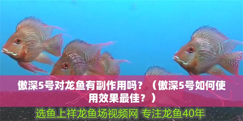 傲深5號對龍魚有副作用嗎？（傲深5號如何使用效果最佳？）