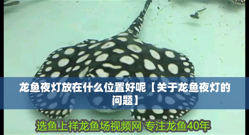龍魚夜燈放在什么位置好呢【關(guān)于龍魚夜燈的問題】