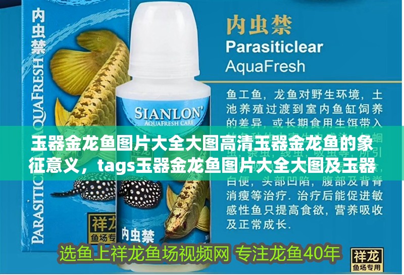 玉器金龍魚圖片大全大圖高清玉器金龍魚的象征意義，tags玉器金龍魚圖片大全大圖及玉器金龍魚圖片大全大圖及工藝