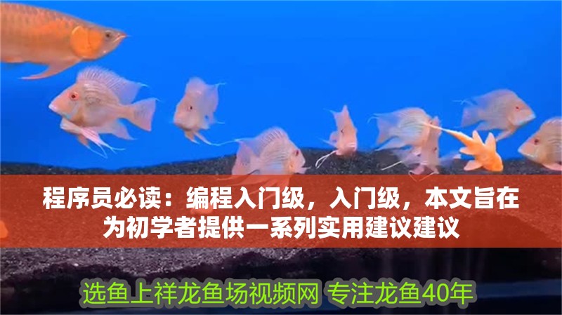 程序員必讀：編程入門級，入門級，本文旨在為初學者提供一系列實用建議建議 程序員必讀：編程入門級，入門級，本文旨在為初學者提供一系列實用建議建議 觀賞魚百科 第1張