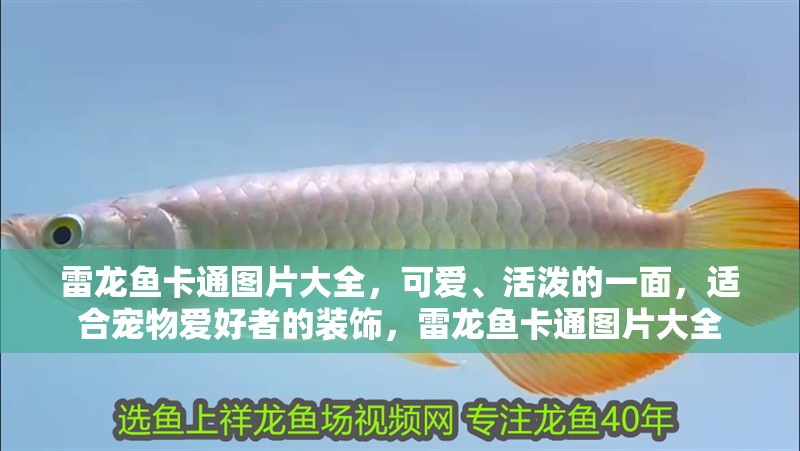 雷龍魚卡通圖片大全，可愛、活潑的一面，適合寵物愛好者的裝飾，雷龍魚卡通圖片大全