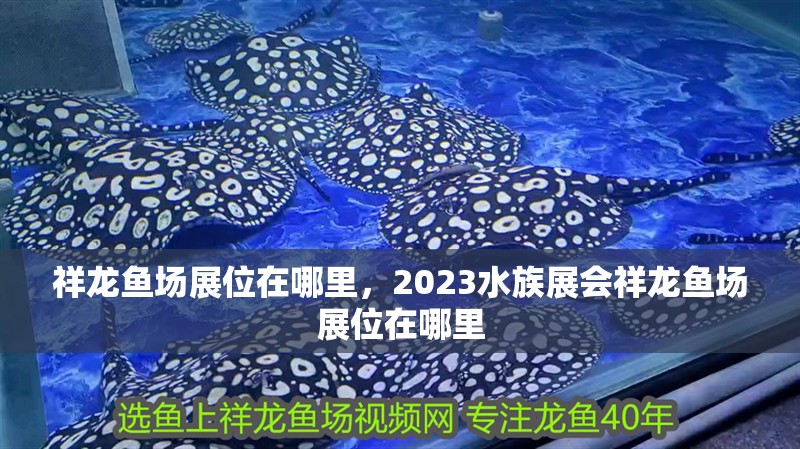 祥龍魚場展位在哪里，2023水族展會祥龍魚場展位在哪里 祥龍魚場展位在哪里，2023水族展會祥龍魚場展位在哪里 觀賞魚百科