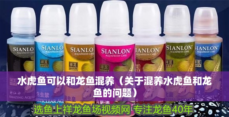 水虎魚可以和龍魚混養(yǎng)（關(guān)于混養(yǎng)水虎魚和龍魚的問題）