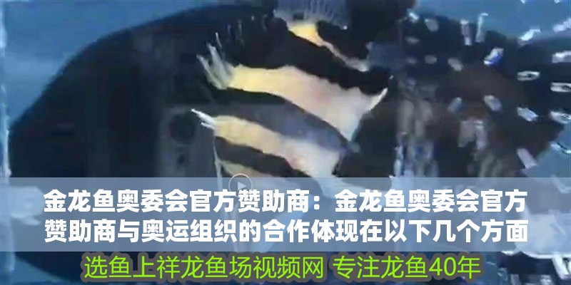 金龍魚奧委會官方贊助商：金龍魚奧委會官方贊助商與奧運組織的合作體現(xiàn)在以下幾個方面
