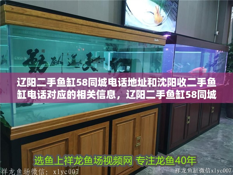 遼陽二手魚缸58同城電話地址和沈陽收二手魚缸電話對應的相關信息，遼陽二手魚缸58同城電話地址和沈陽收二手電話對應的相關信息