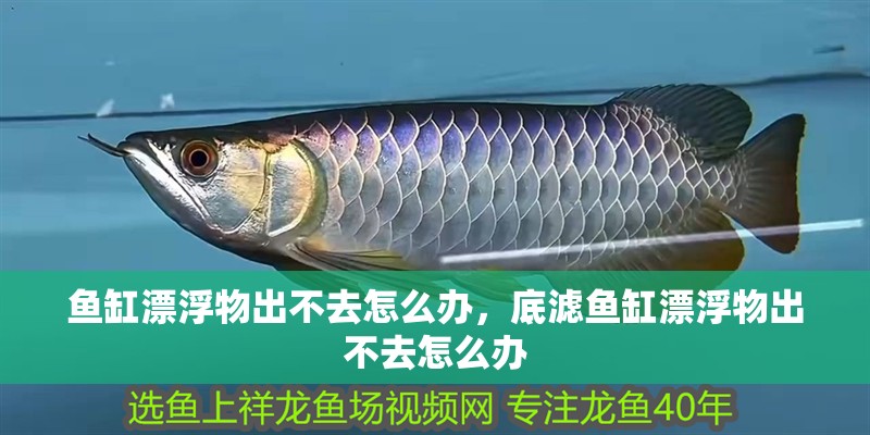 魚缸漂浮物出不去怎么辦，底濾魚缸漂浮物出不去怎么辦