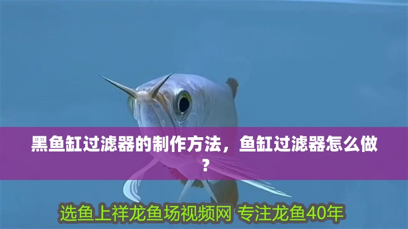 黑魚缸過濾器的制作方法，魚缸過濾器怎么做？