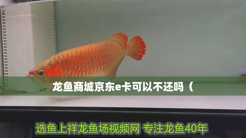 龍魚商城京東e卡可以不還嗎（