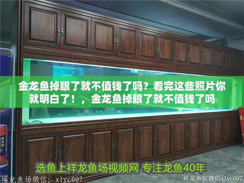 金龍魚掉眼了就不值錢了嗎？看完這些照片你就明白了！，金龍魚掉眼了就不值錢了嗎