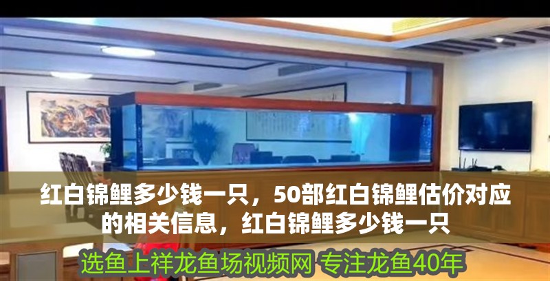 紅白錦鯉多少錢一只，50部紅白錦鯉估價(jià)對(duì)應(yīng)的相關(guān)信息，紅白錦鯉多少錢一只 紅白錦鯉多少錢一只，50部紅白錦鯉估價(jià)對(duì)應(yīng)的相關(guān)信息，紅白錦鯉多少錢一只 觀賞魚百科 第2張