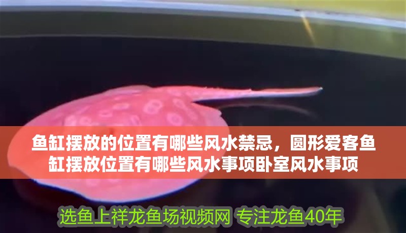 魚缸擺放的位置有哪些風(fēng)水禁忌，圓形愛客魚缸擺放位置有哪些風(fēng)水事項(xiàng)臥室風(fēng)水事項(xiàng)