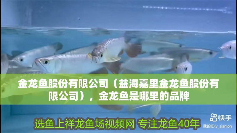 金龍魚股份有限公司（益海嘉里金龍魚股份有限公司），金龍魚是哪里的品牌