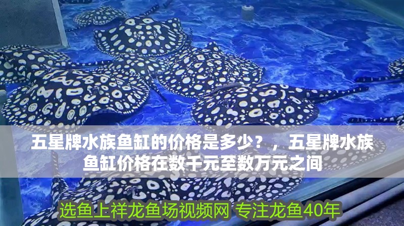 五星牌水族魚缸的價格是多少？，五星牌水族魚缸價格在數(shù)千元至數(shù)萬元之間