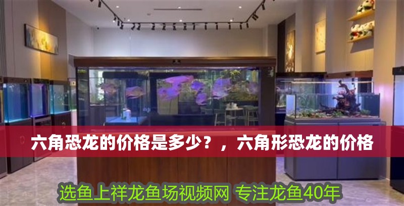 六角恐龍的價格是多少？，六角形恐龍的價格