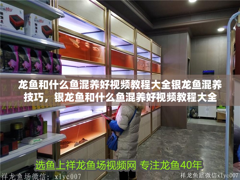 龍魚和什么魚混養好視頻教程大全銀龍魚混養技巧，銀龍魚和什么魚混養好視頻教程大全