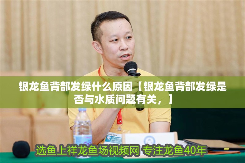 銀龍魚背部發綠什么原因【銀龍魚背部發綠是否與水質問題有關，】