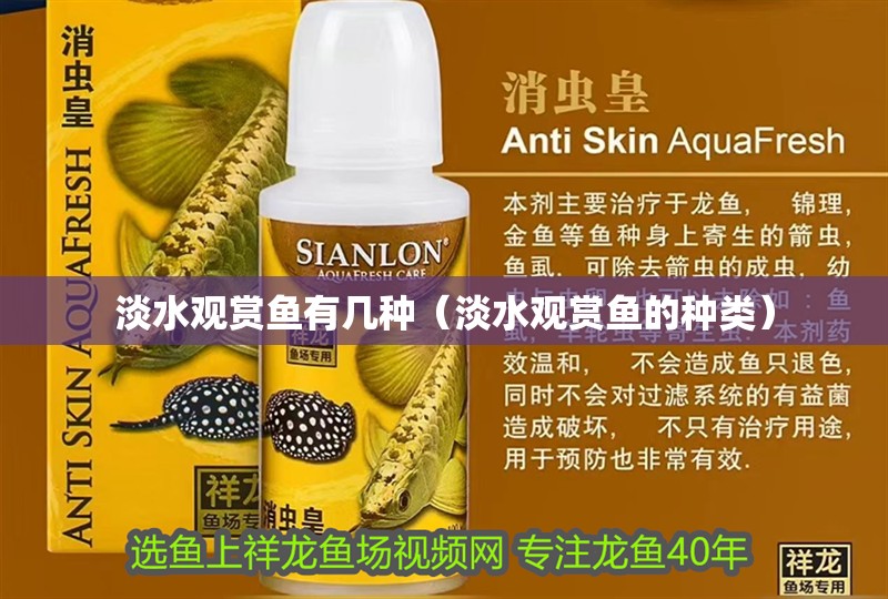 淡水觀賞魚有幾種（淡水觀賞魚的種類）