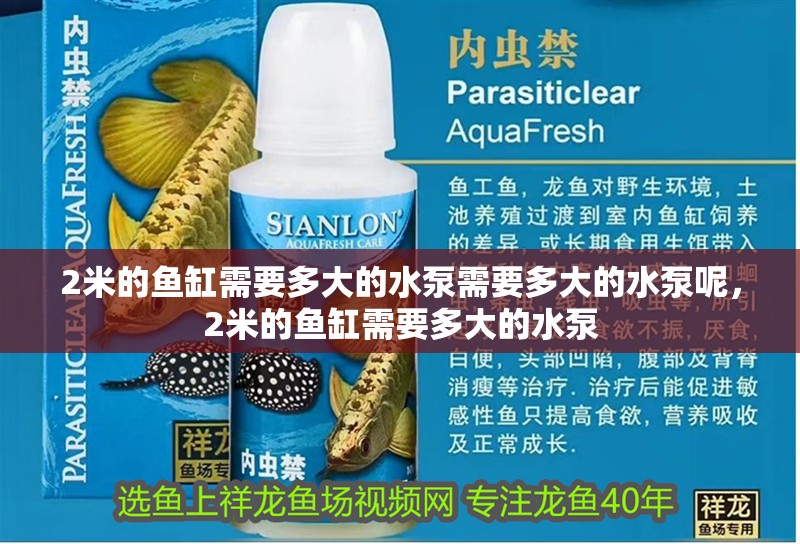 2米的魚缸需要多大的水泵需要多大的水泵呢，2米的魚缸需要多大的水泵