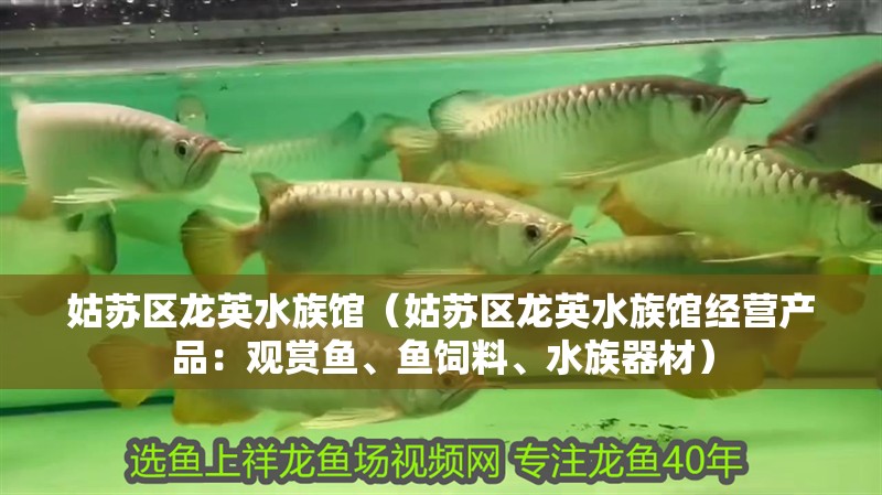 姑蘇區龍英水族館（姑蘇區龍英水族館經營產品：觀賞魚、魚飼料、水族器材）