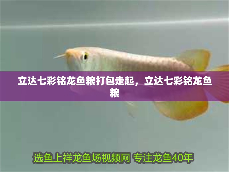 立達七彩銘龍魚糧打包走起，立達七彩銘龍魚糧