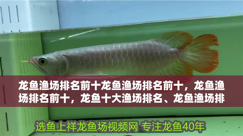 龍魚漁場排名前十龍魚漁場排名前十，龍魚漁場排名前十，龍魚十大漁場排名、龍魚漁場排名前十