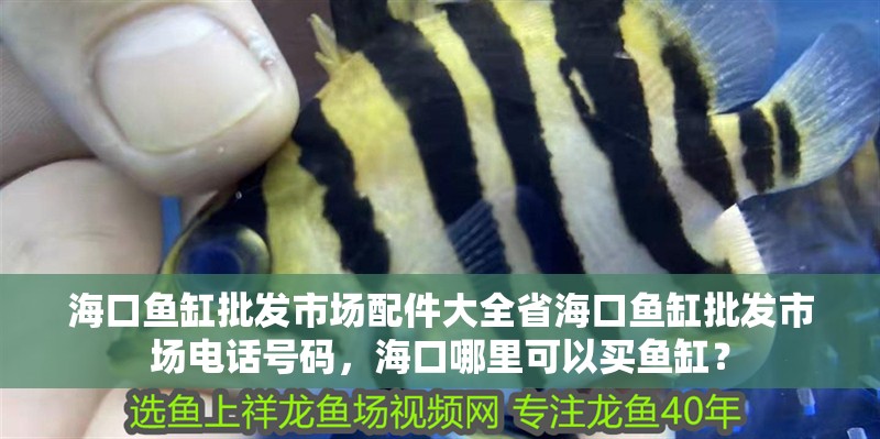 海口魚缸批發市場配件大全省海口魚缸批發市場電話號碼，海口哪里可以買魚缸？
