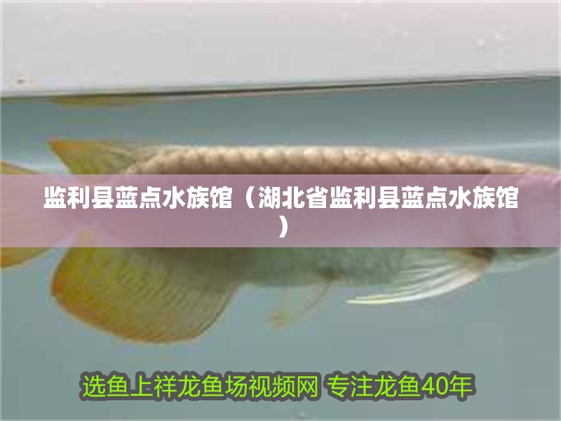監(jiān)利縣藍點水族館（湖北省監(jiān)利縣藍點水族館）