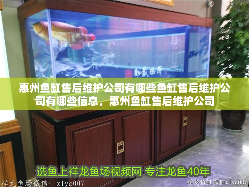 惠州魚缸售后維護公司有哪些魚缸售后維護公司有哪些信息，惠州魚缸售后維護公司 惠州魚缸售后維護公司有哪些魚缸售后維護公司有哪些信息，惠州魚缸售后維護公司 觀賞魚百科 第2張