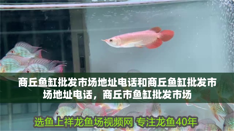 商丘魚缸批發(fā)市場地址電話和商丘魚缸批發(fā)市場地址電話，商丘市魚缸批發(fā)市場 商丘魚缸批發(fā)市場地址電話和商丘魚缸批發(fā)市場地址電話，商丘市魚缸批發(fā)市場 觀賞魚百科 第3張