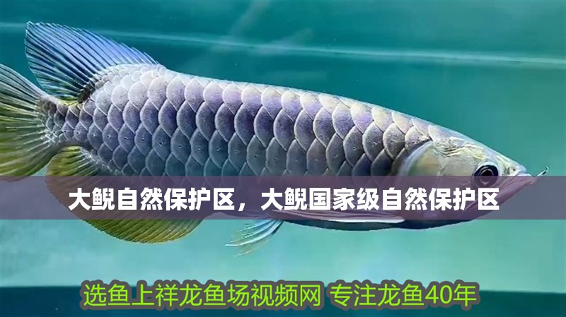 大鯢自然保護區，大鯢國家級自然保護區