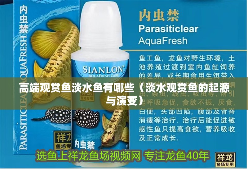 高端觀賞魚淡水魚有哪些（淡水觀賞魚的起源與演變） 高端觀賞魚淡水魚有哪些（淡水觀賞魚的起源與演變） 觀賞魚百科 第1張