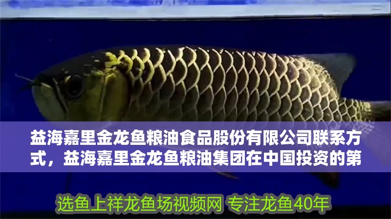 益海嘉里金龍魚糧油食品股份有限公司聯系方式，益海嘉里金龍魚糧油集團在中國投資的第一家油脂工業