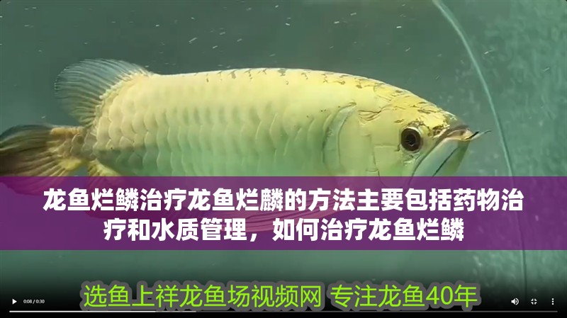 龍魚爛鱗治療龍魚爛麟的方法主要包括藥物治療和水質(zhì)管理，如何治療龍魚爛鱗