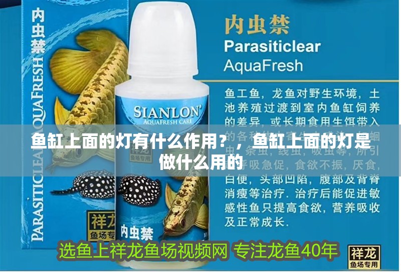 魚缸上面的燈有什么作用？，魚缸上面的燈是做什么用的