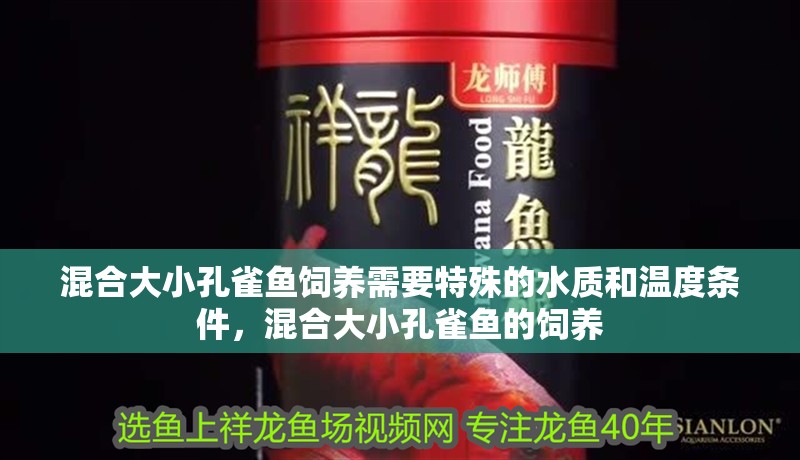 混合大小孔雀魚飼養需要特殊的水質和溫度條件，混合大小孔雀魚的飼養