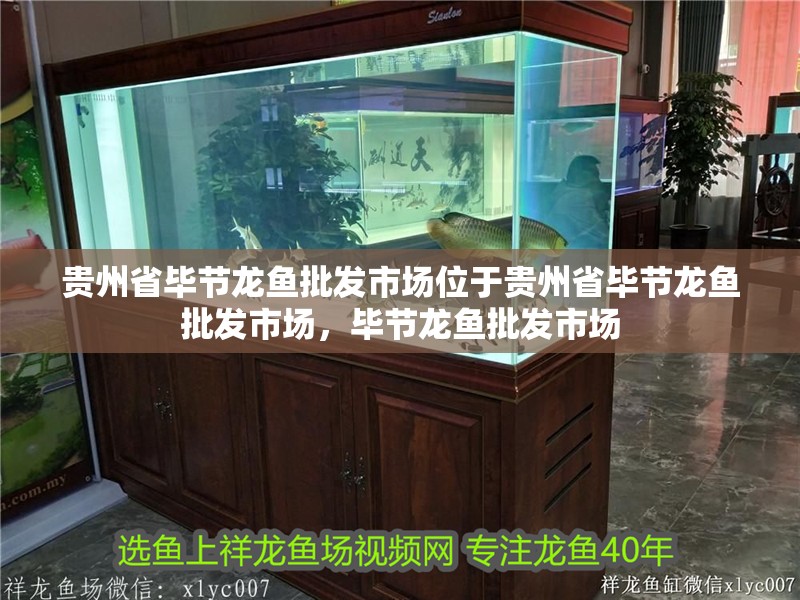 貴州省畢節龍魚批發市場位于貴州省畢節龍魚批發市場，畢節龍魚批發市場