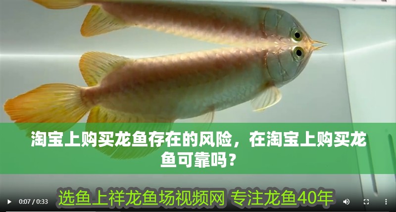 淘寶上購買龍魚存在的風(fēng)險，在淘寶上購買龍魚可靠嗎？