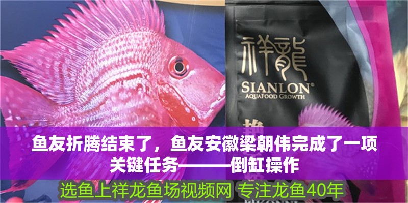 魚友折騰結(jié)束了，魚友安徽梁朝偉完成了一項關(guān)鍵任務———倒缸操作