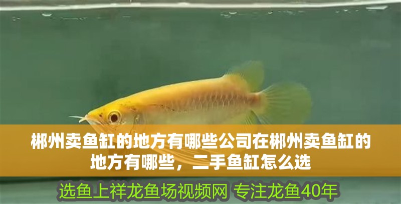郴州賣魚缸的地方有哪些公司在郴州賣魚缸的地方有哪些，二手魚缸怎么選