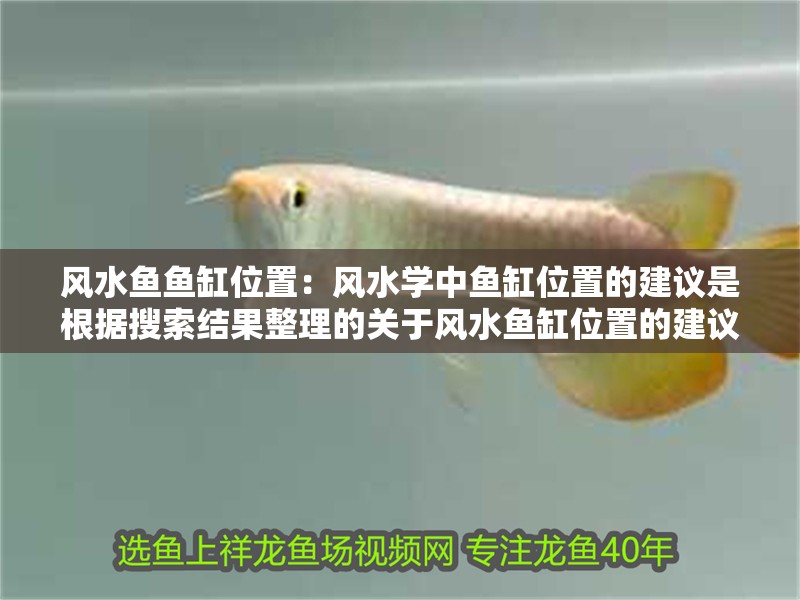 風(fēng)水魚(yú)魚(yú)缸位置：風(fēng)水學(xué)中魚(yú)缸位置的建議是根據(jù)搜索結(jié)果整理的關(guān)于風(fēng)水魚(yú)缸位置的建議