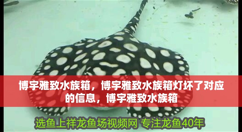 博宇雅致水族箱，博宇雅致水族箱燈壞了對應的信息，博宇雅致水族箱 博宇雅致水族箱，博宇雅致水族箱燈壞了對應的信息，博宇雅致水族箱 觀賞魚百科 第2張