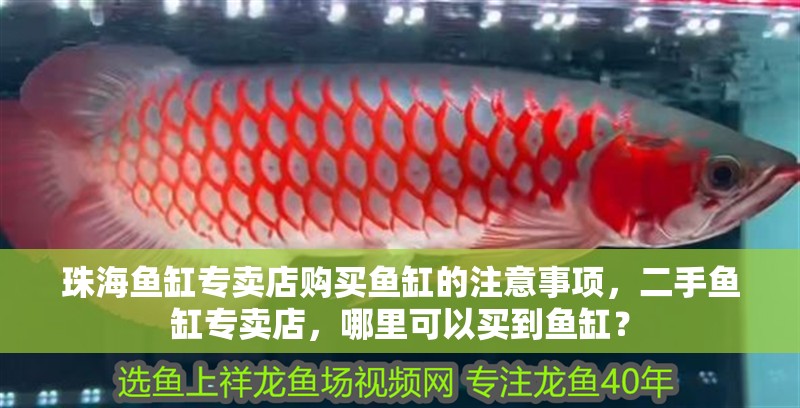 珠海魚(yú)缸專(zhuān)賣(mài)店購(gòu)買(mǎi)魚(yú)缸的注意事項(xiàng)，二手魚(yú)缸專(zhuān)賣(mài)店，哪里可以買(mǎi)到魚(yú)缸？