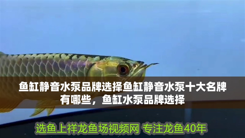 魚缸靜音水泵品牌選擇魚缸靜音水泵十大名牌有哪些，魚缸水泵品牌選擇