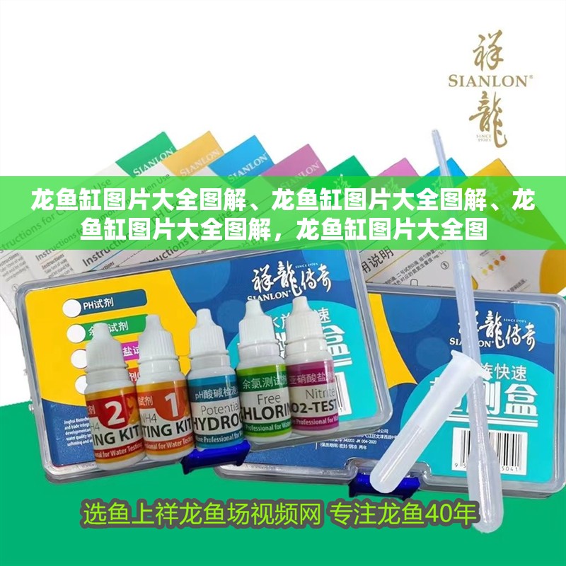 龍魚缸圖片大全圖解、龍魚缸圖片大全圖解、龍魚缸圖片大全圖解，龍魚缸圖片大全圖