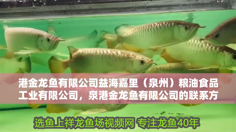 港金龍魚有限公司益海嘉里（泉州）糧油食品工業有限公司，泉港金龍魚有限公司的聯系方式
