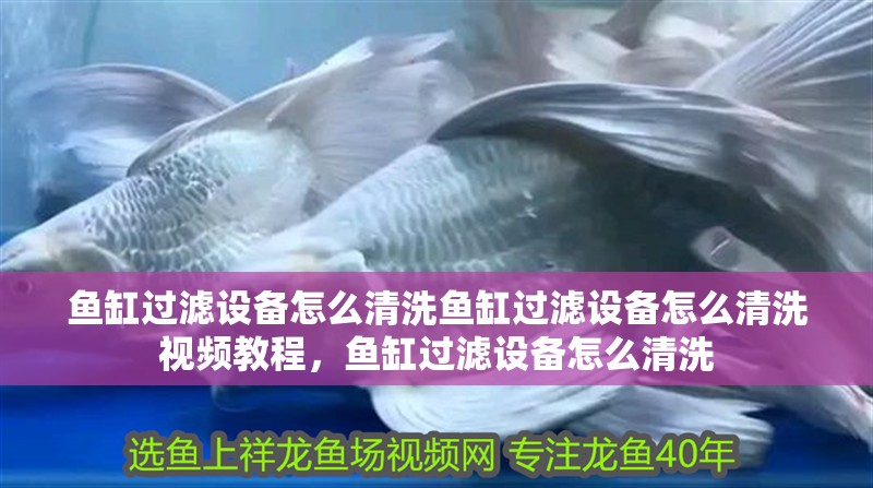 魚缸過濾設(shè)備怎么清洗魚缸過濾設(shè)備怎么清洗視頻教程，魚缸過濾設(shè)備怎么清洗